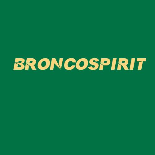 Logo da BRONCOSPIRIT